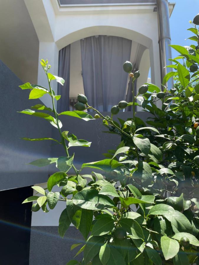 Mare Lejlighed Zadar Eksteriør billede